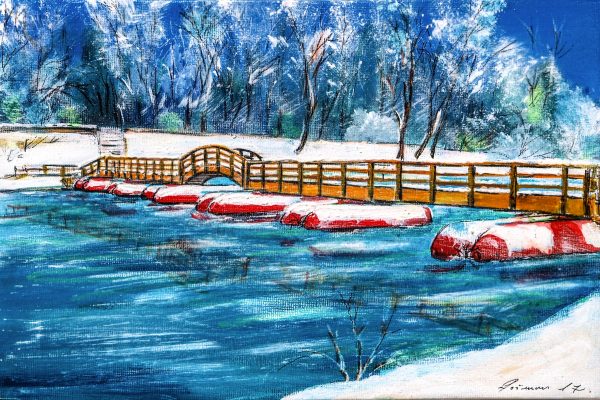 Umjetnička slika - platno (20x30cm)