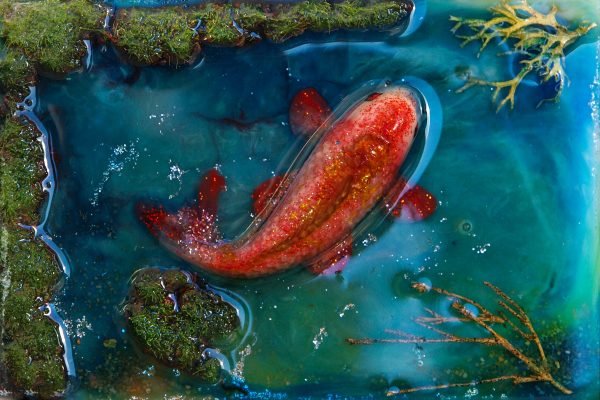 Epoxy 12x8 cm